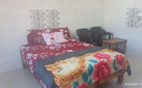 Sai Homestay